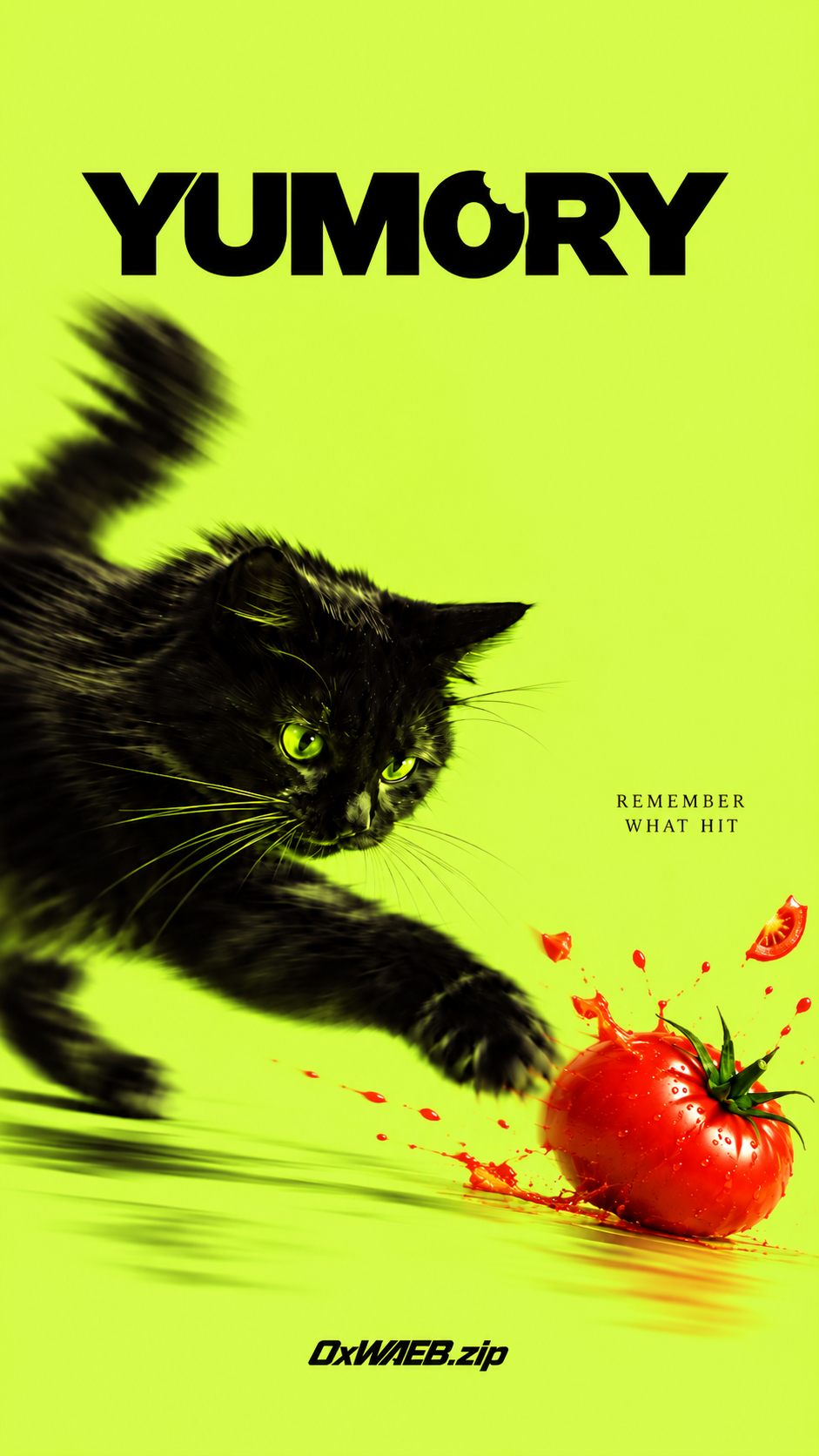 yumory app splash screen: black cat and tomato on a lime background